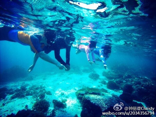 可爱南瓜救援精灵