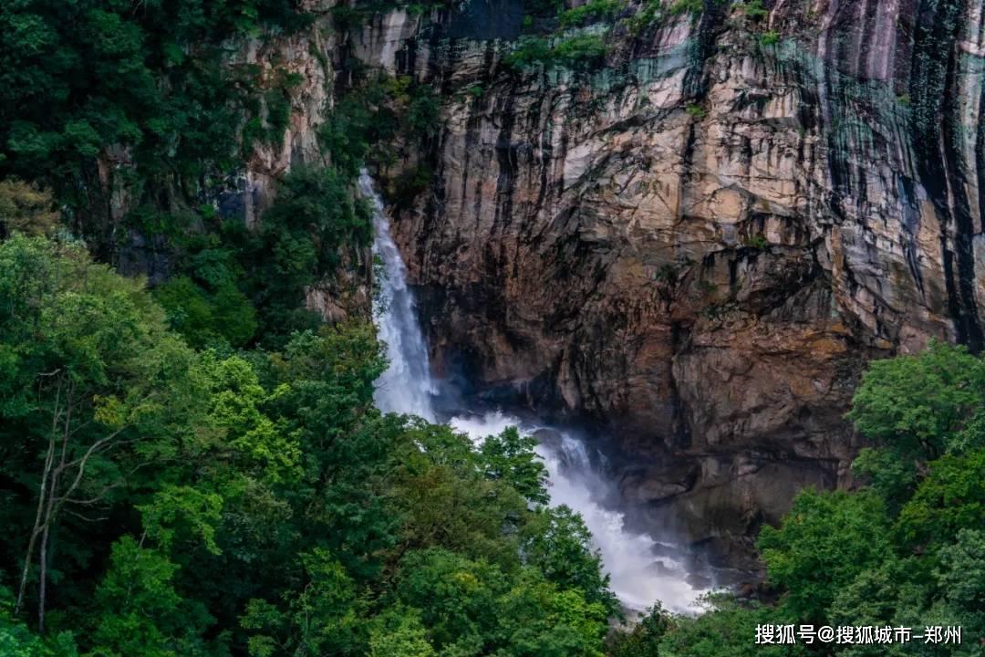 爱丽丝和闺蜜
