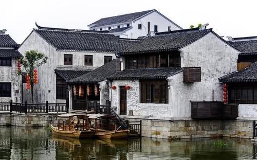 奔跑的兔子